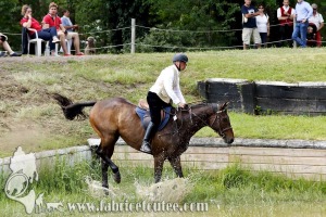 CFCC 2017 01748