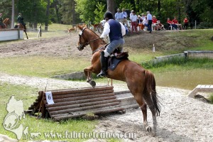 CFCC 2017 01758