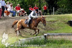 CFCC 2017 01760
