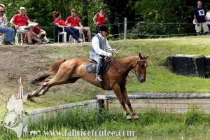 CFCC 2017 01761