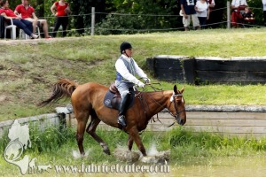 CFCC 2017 01762