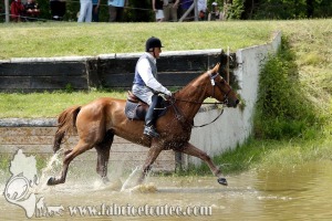 CFCC 2017 01763