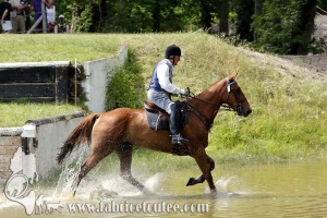 CFCC 2017 01764