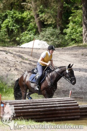 CFCC 2017 01767