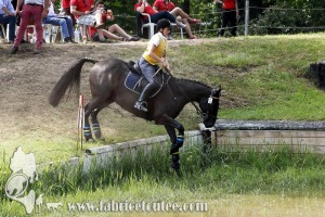 CFCC 2017 01775