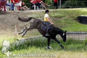 CFCC 2017 01776