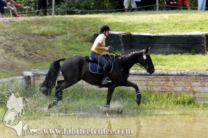 CFCC 2017 01777