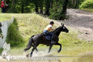 CFCC 2017 01778