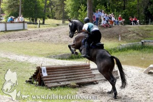 CFCC 2017 01791