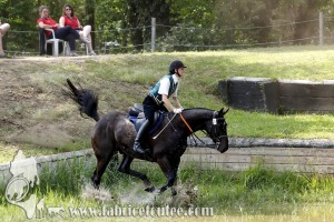 CFCC 2017 01794