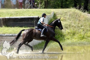 CFCC 2017 01796