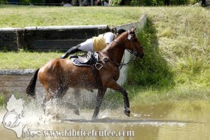 CFCC 2017 01811
