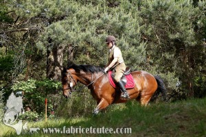 CFCC 2017 01820