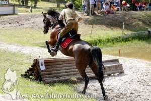 CFCC 2017 01825