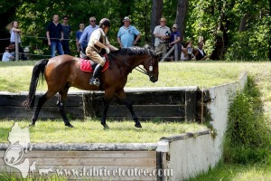 CFCC 2017 01826