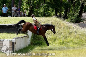 CFCC 2017 01828