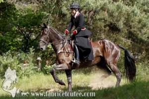 CFCC 2017 01835