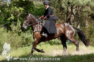 CFCC 2017 01836