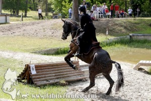 CFCC 2017 01840