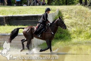 CFCC 2017 01843