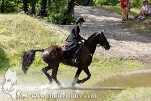 CFCC 2017 01844
