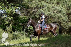 CFCC 2017 01848