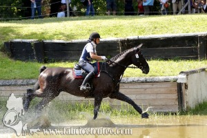 CFCC 2017 01855