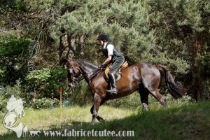 CFCC 2017 01864