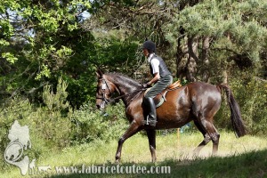 CFCC 2017 01865