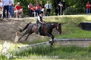 CFCC 2017 01871