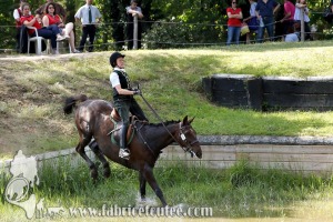 CFCC 2017 01872