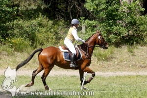 CFCC 2017 01878