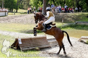 CFCC 2017 01884