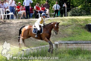 CFCC 2017 01885