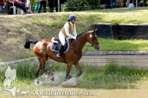 CFCC 2017 01886