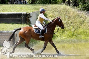 CFCC 2017 01888