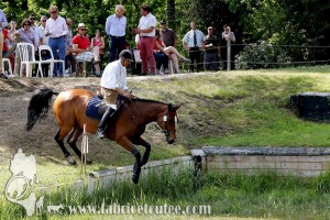 CFCC 2017 01896