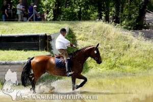 CFCC 2017 01899