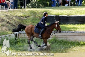 CFCC 2017 01909