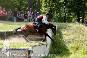 CFCC 2017 01921