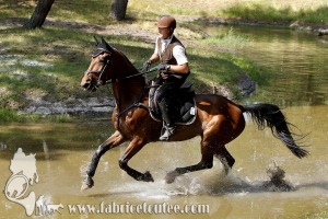 CFCC 2017 01929