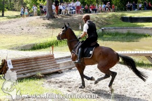 CFCC 2017 01931