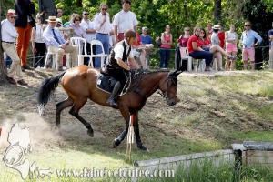 CFCC 2017 01932