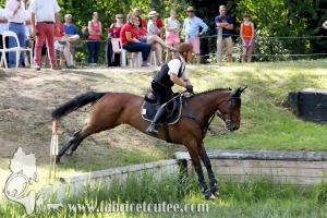 CFCC 2017 01933