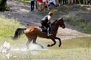CFCC 2017 01935