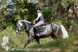 CFCC 2017 01943