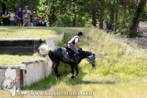 CFCC 2017 01950