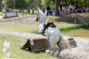 CFCC 2017 01960