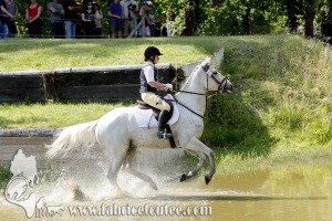 CFCC 2017 01963