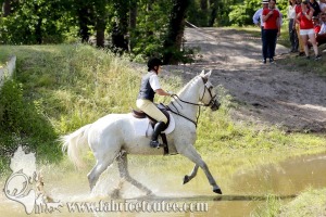 CFCC 2017 01964